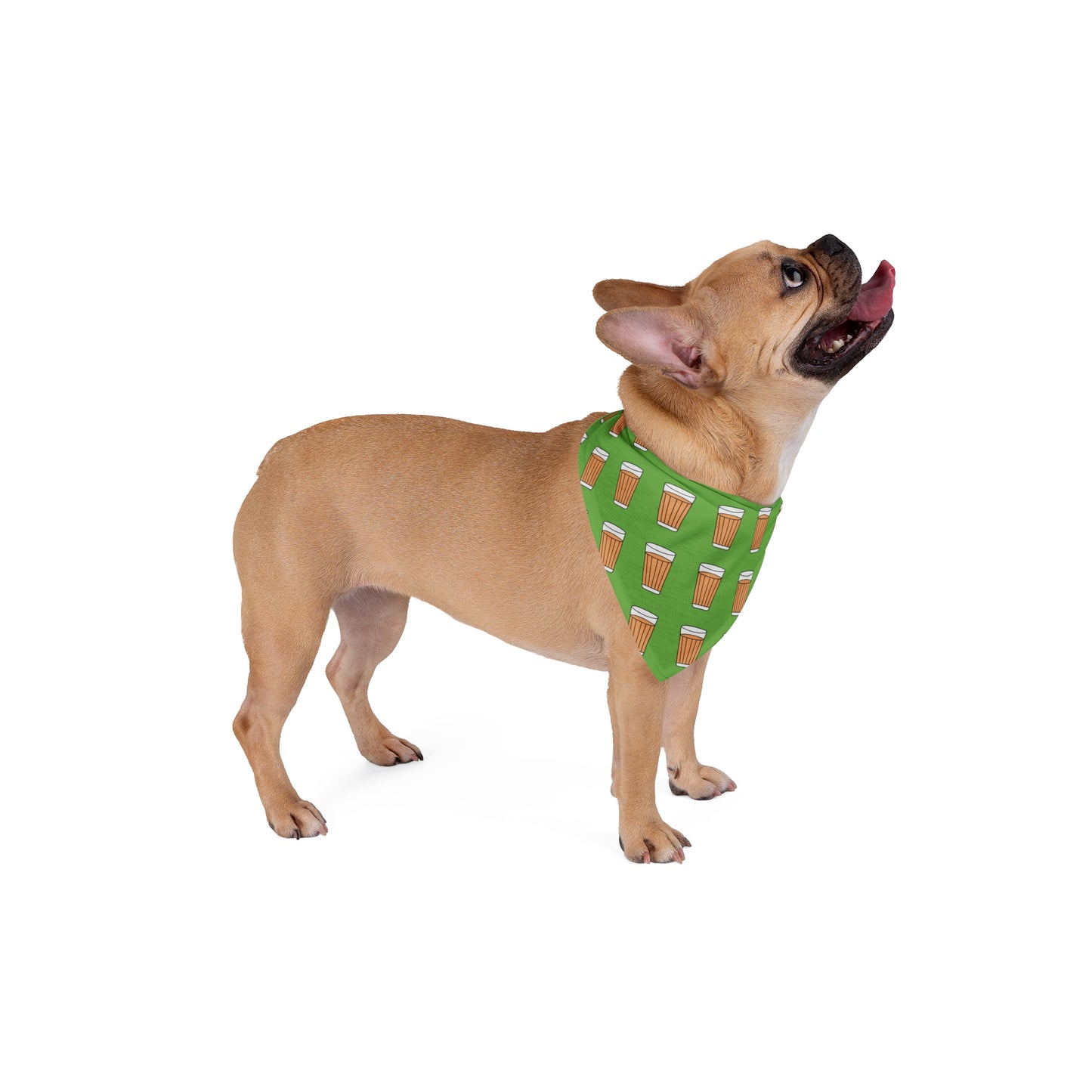 Chai Pet Bandana - Green